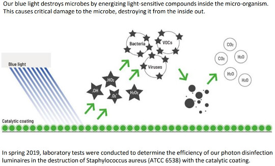 Vetrospace Blue light WiSDOM AiR system