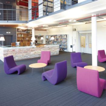 Vitra Amoebe chair in pink and purple in a library