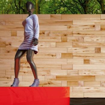 Craftwand divider in retail environment