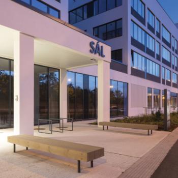 Woody straight benches in public space