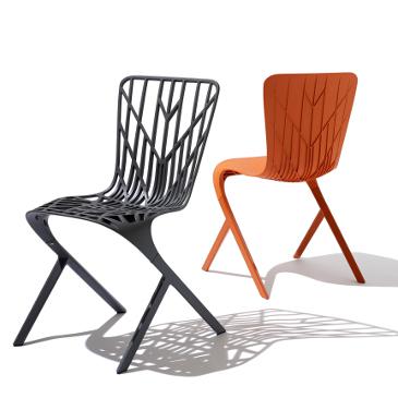 Washington Skeleton and Skin