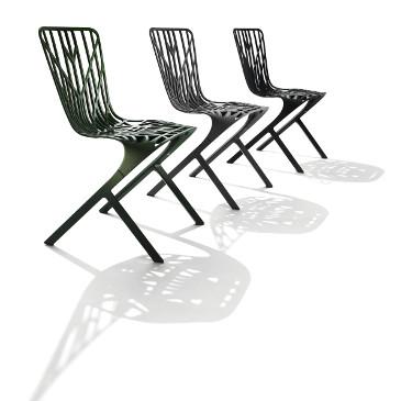 Washington Skeleton and Skin