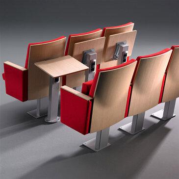 Teatro + AP1 Auditorium Seating