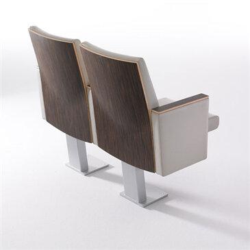 Teatro + AP1 Auditorium Seating