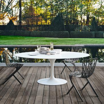 Washington Skeleton and Skin