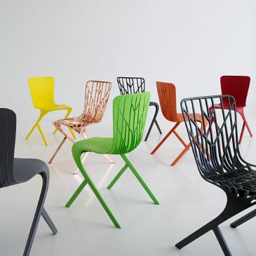 Washington Skeleton and Skin