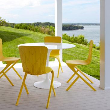 Washington Skeleton and Skin