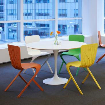 Washington Skeleton and Skin