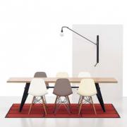 DSW Eames Plastic Chair 