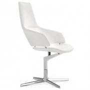 Aston meeting chair