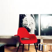 Organic Chair