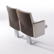 Teatro + AP1 Auditorium Seating