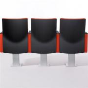 Teatro + AP1 Auditorium Seating