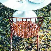 Washington Skeleton and Skin