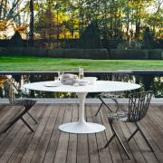 Washington Skeleton and Skin