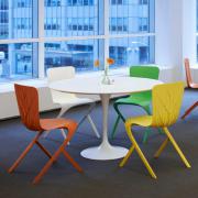 Washington Skeleton and Skin